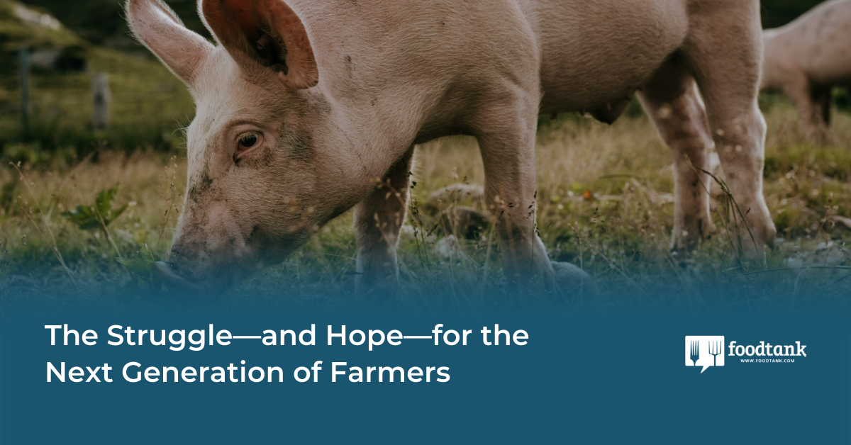 The Battle—and Hope—for the Subsequent Technology of Farmers – Meals Tank