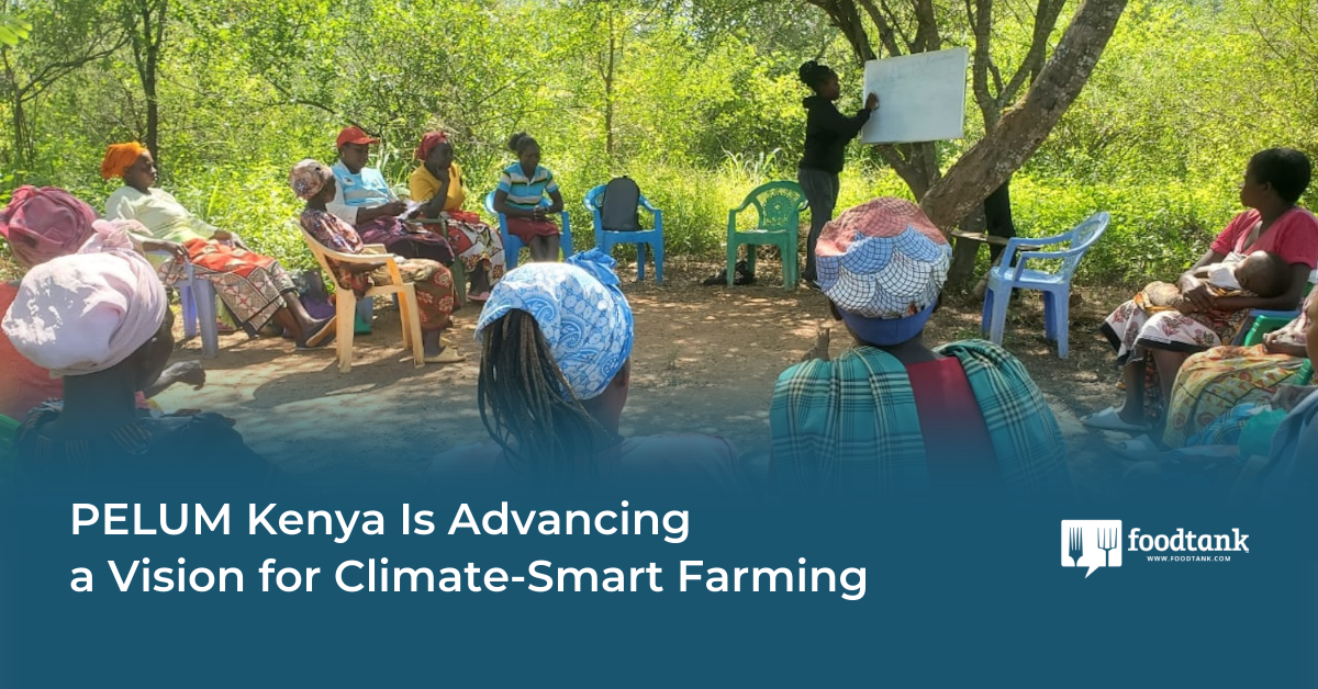 PELUM Kenya Is Advancing a Vision for Climate-Smart Farming