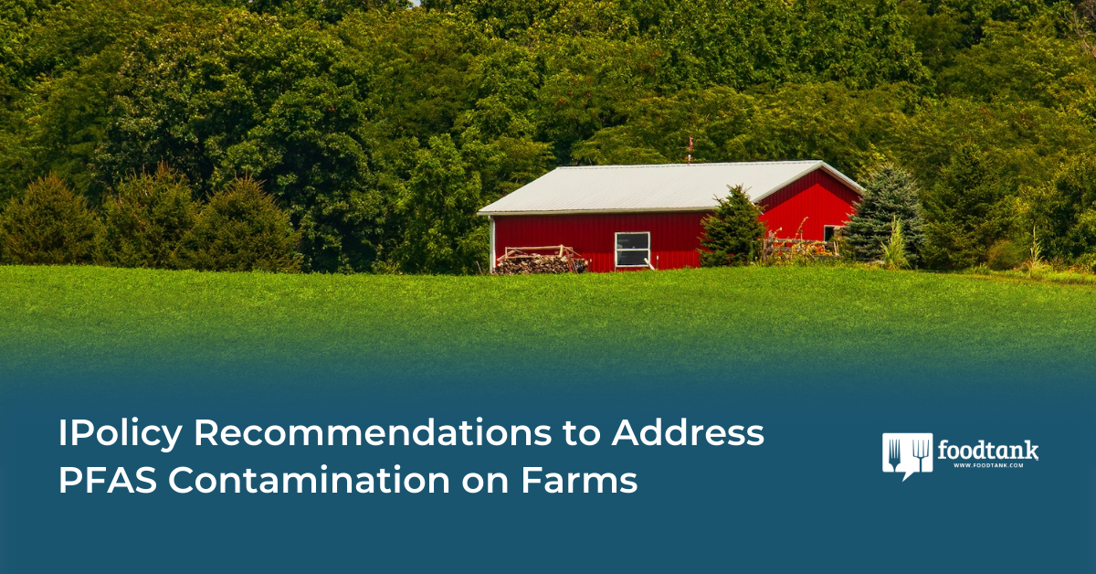 Policy Recommendations to Address PFAS Contamination on Farms