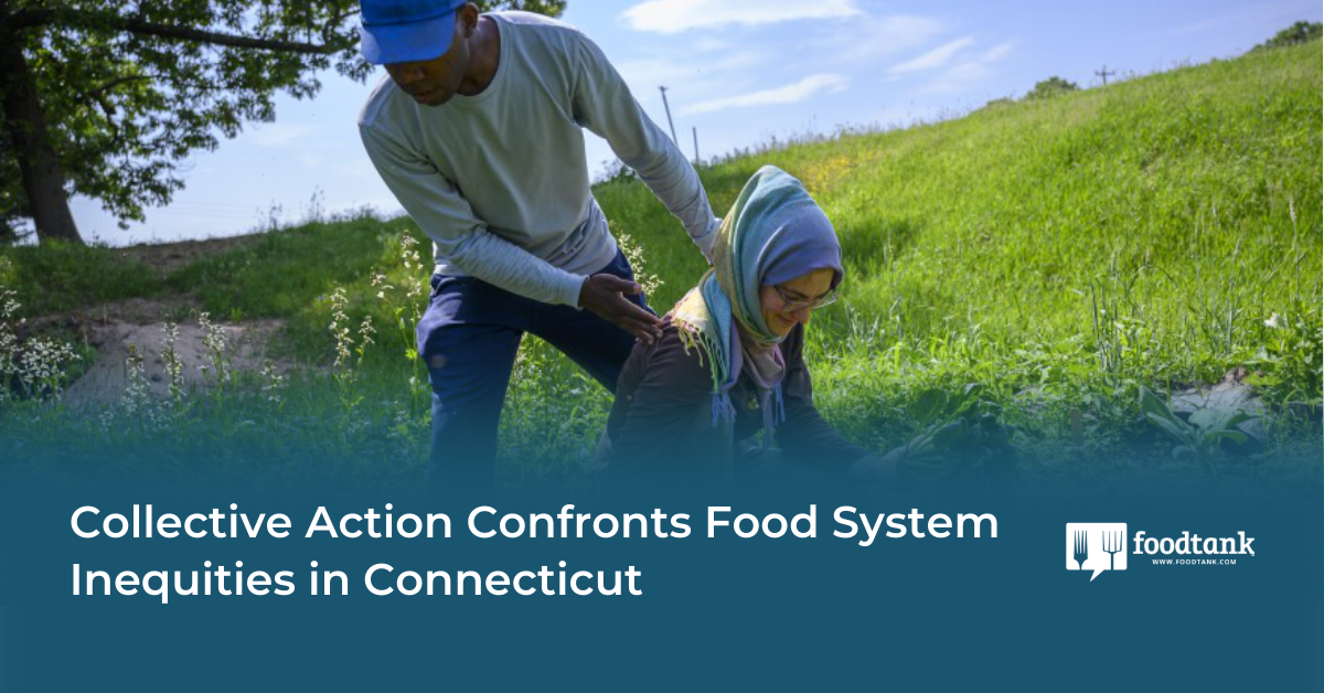 Collective Action Confronts Food System Inequities in Connecticut