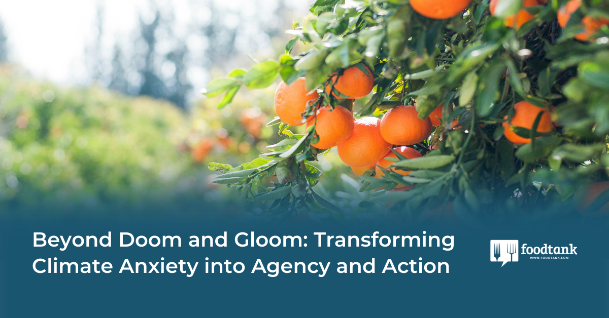 Beyond Doom and Gloom: Transforming Climate Anxiety into Agency and Action