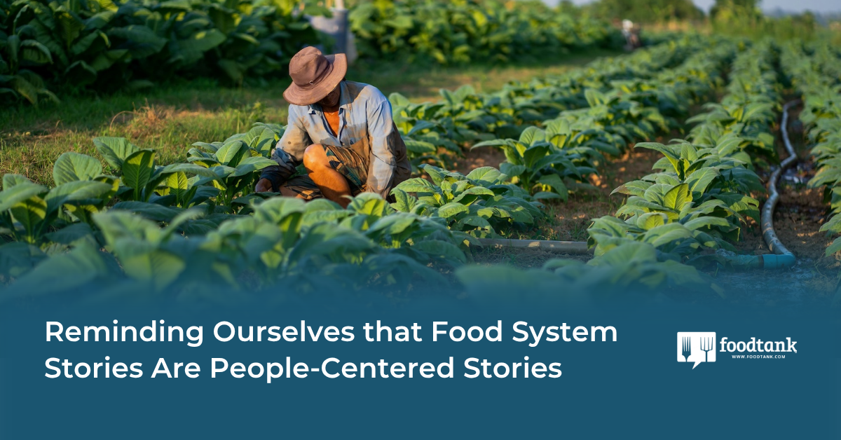 People-Focused Food Systems: Building Connections for Change