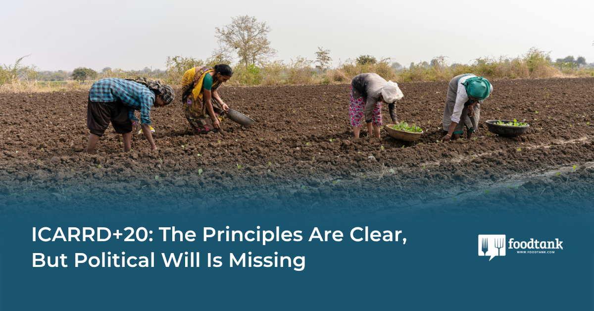 Op-Ed | ICARRD+20: The Principles Are Clear, But Political Will Is Missing