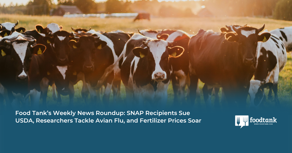 Food Tank’s Weekly News Roundup: SNAP Recipients Sue USDA, Researchers Tackle Avian Flu, and Fertilizer Prices Soar