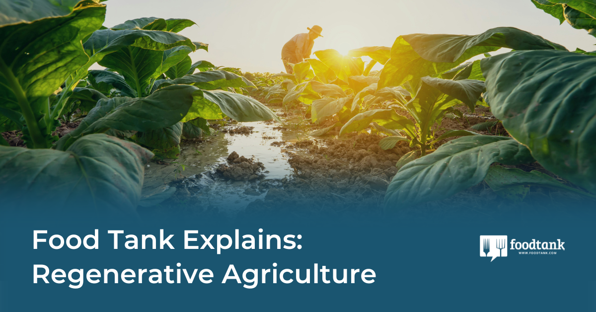 Food Tank Explains: Regenerative Agriculture