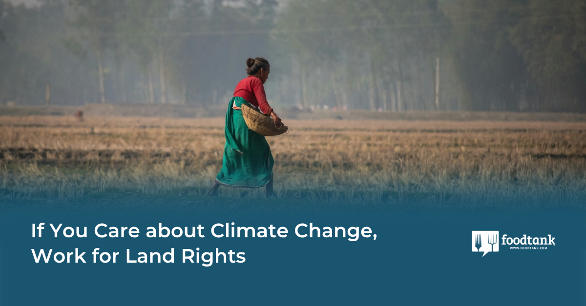 Op-Ed | If You Care about Climate Change, Work for Land Rights