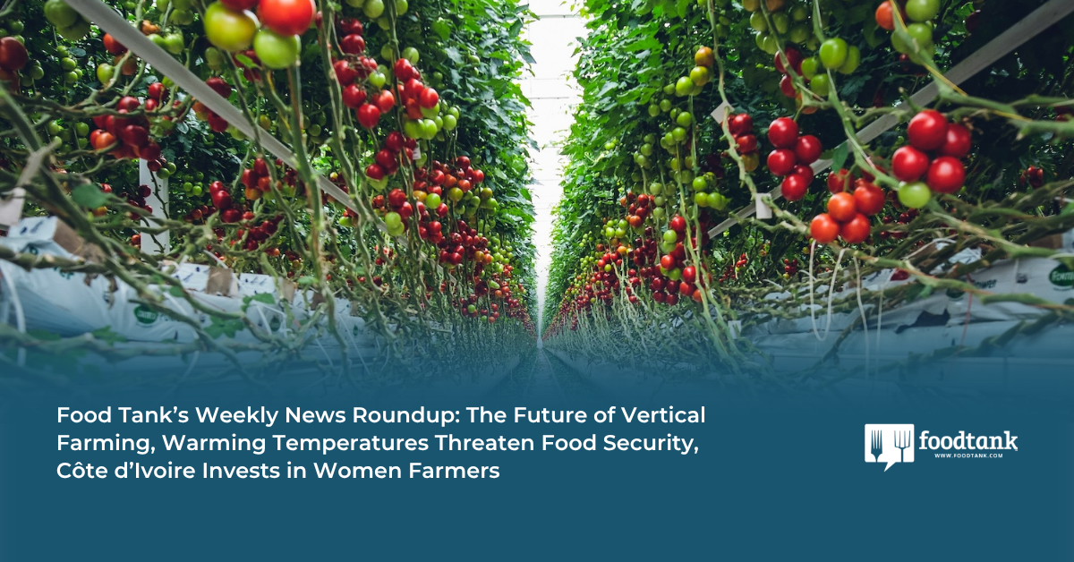 Food Tank’s Weekly News Roundup: The Future of Vertical Farming, Warming Temperatures Threaten Food Security, Côte d’Ivoire Invests in Women Farmers