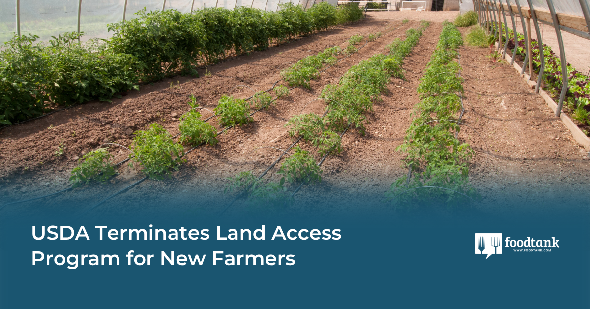 USDA Terminates Land Access Program for New Farmers