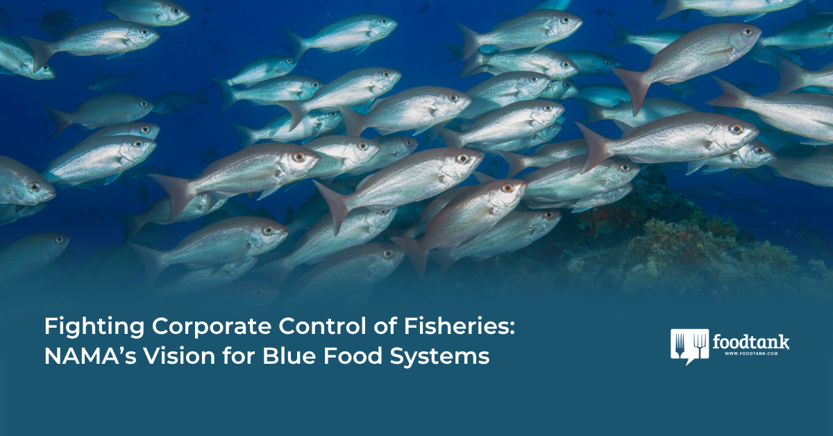Fighting Corporate Control of Fisheries: NAMA’s Vision for Blue Food Systems