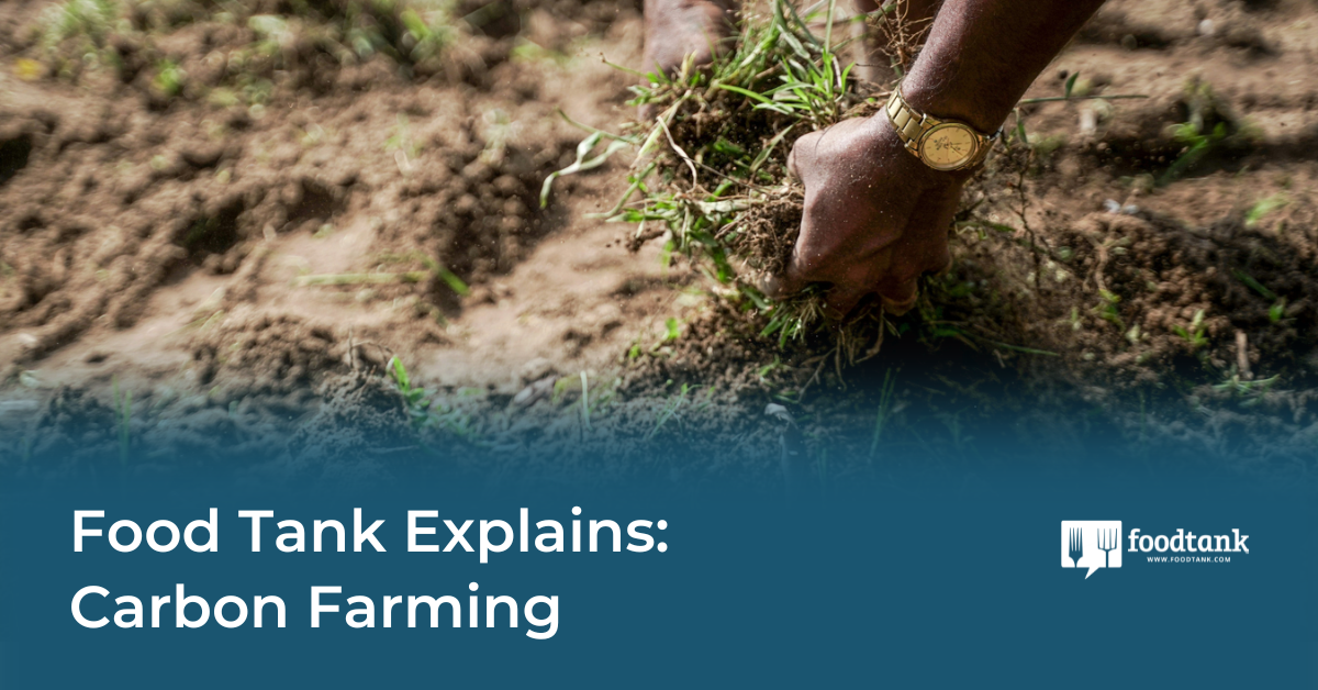 Food Tank Explains: Carbon Farming