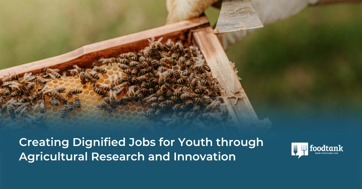 Creating Dignified Jobs for Youth through Agricultural Research and Innovation
