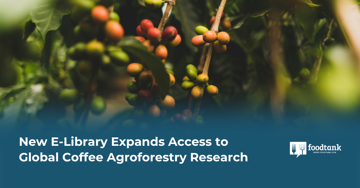 New E-Library Expands Access to Global Coffee Agroforestry Research – Food Tank
