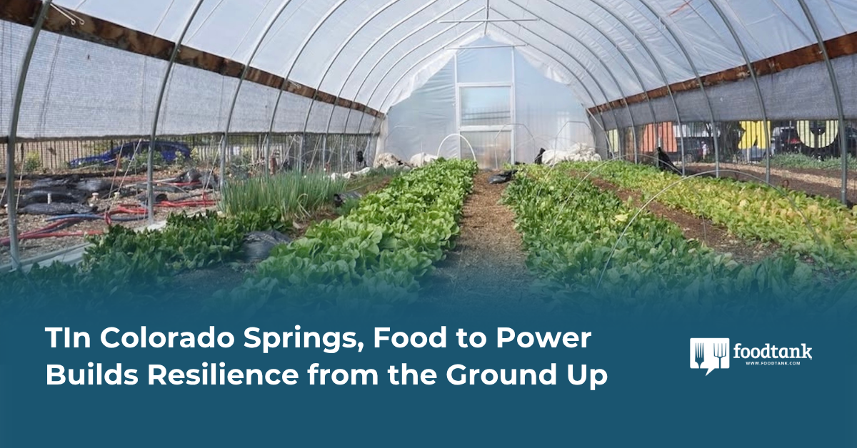 In Colorado Springs, Food to Power Builds Resilience from the Ground Up