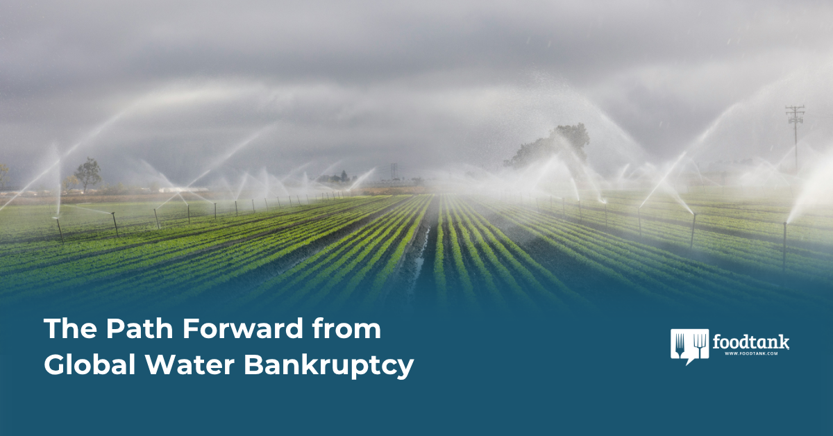 The Path Forward from Global Water Bankruptcy – Food Tank