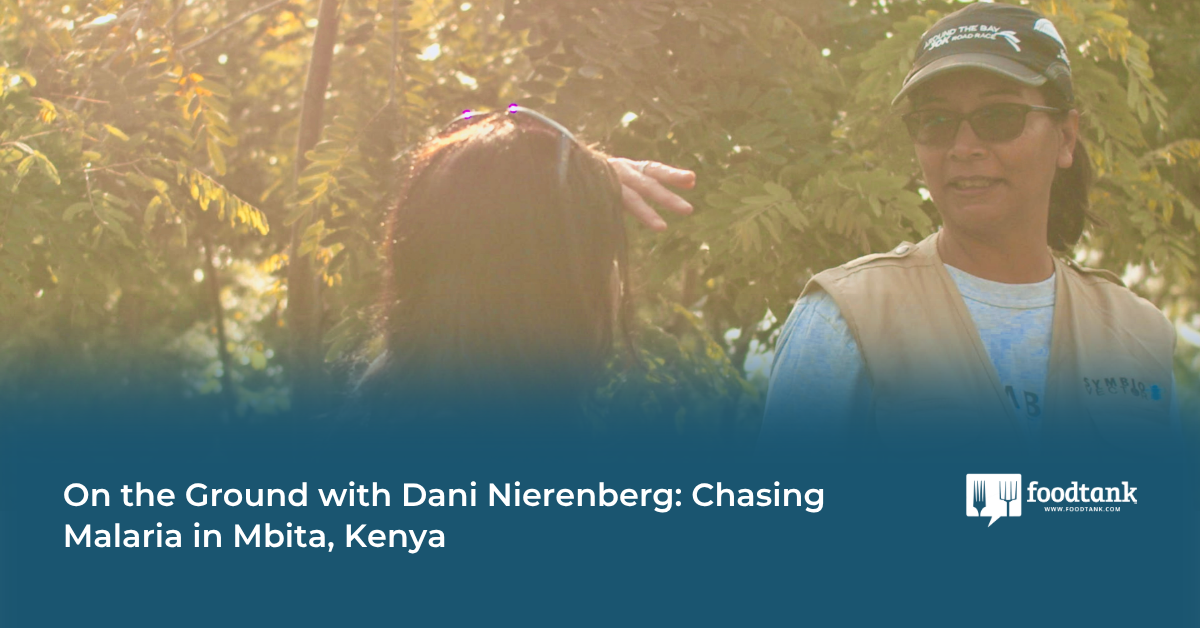 On the Ground with Dani Nierenberg: Chasing Malaria in Mbita, Kenya