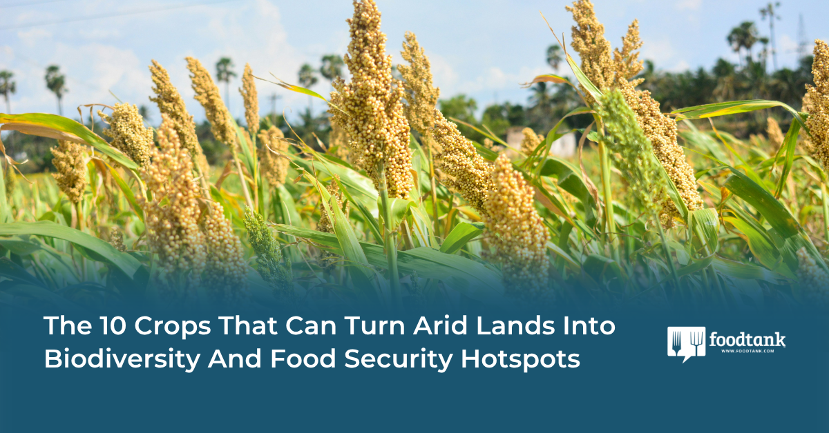 The 10 Crops That Can Turn Arid Lands Into Biodiversity And Food Security Hotspots