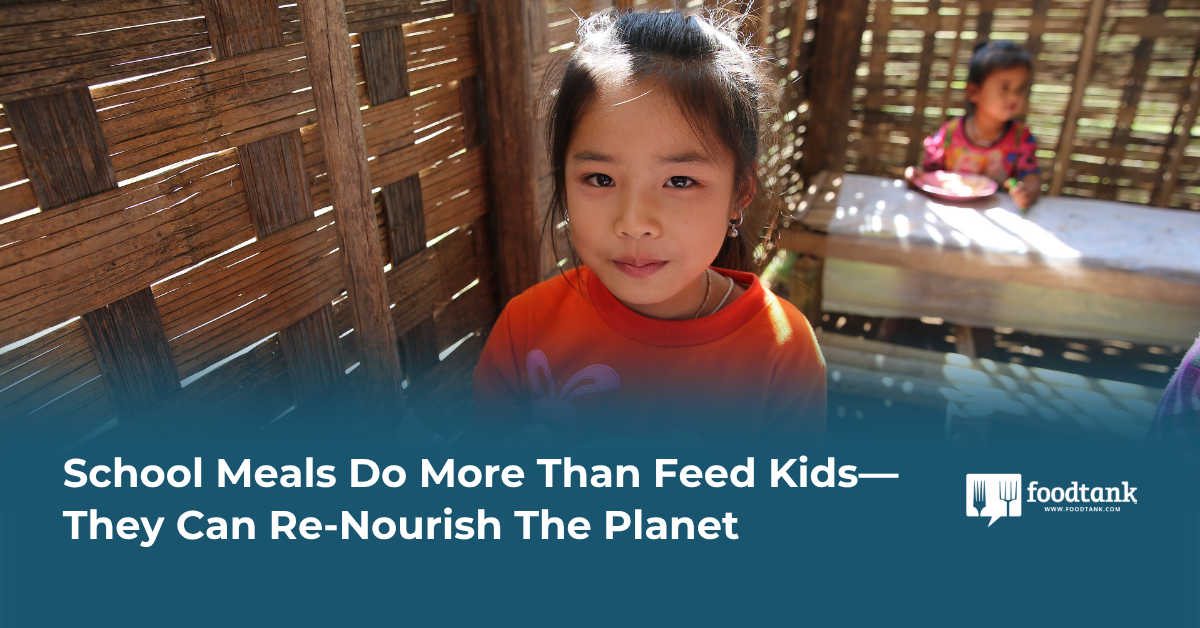 School Meals Do More Than Feed Kids—They Can Re-Nourish The Planet – Food Tank