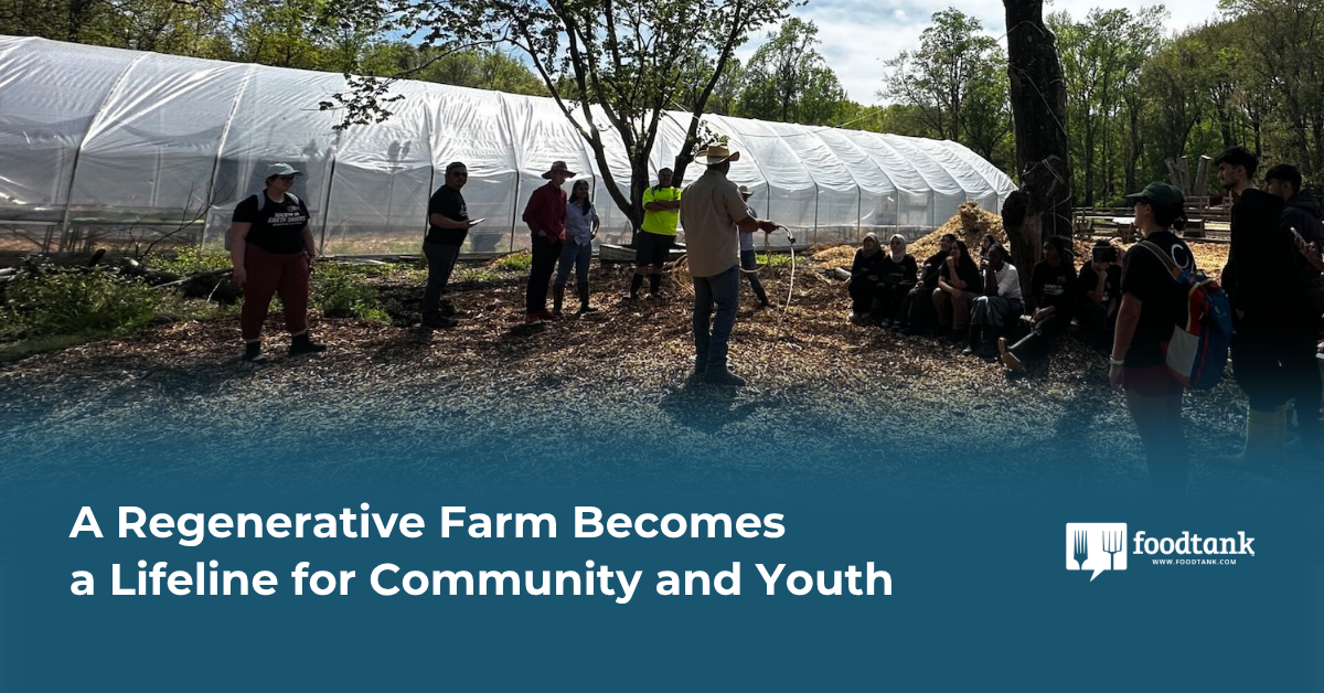 Maryland’s Revitalized Farm: A Hub for Community and Youth