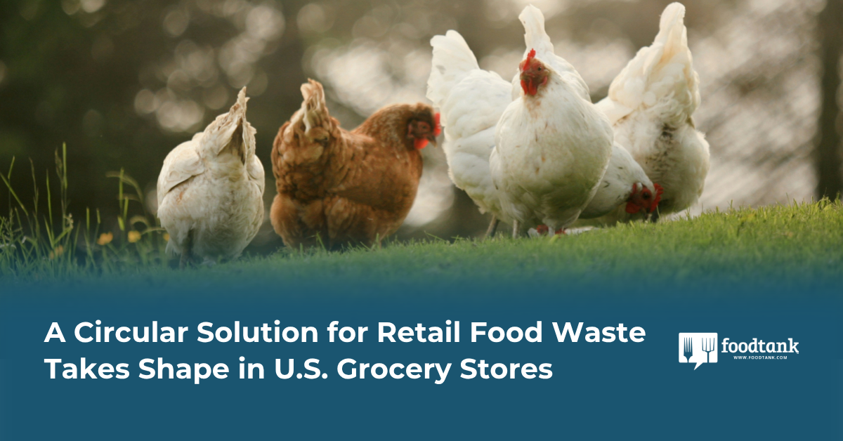 A Circular Solution for Retail Food Waste Takes Shape in U.S. Grocery Stores – Food Tank