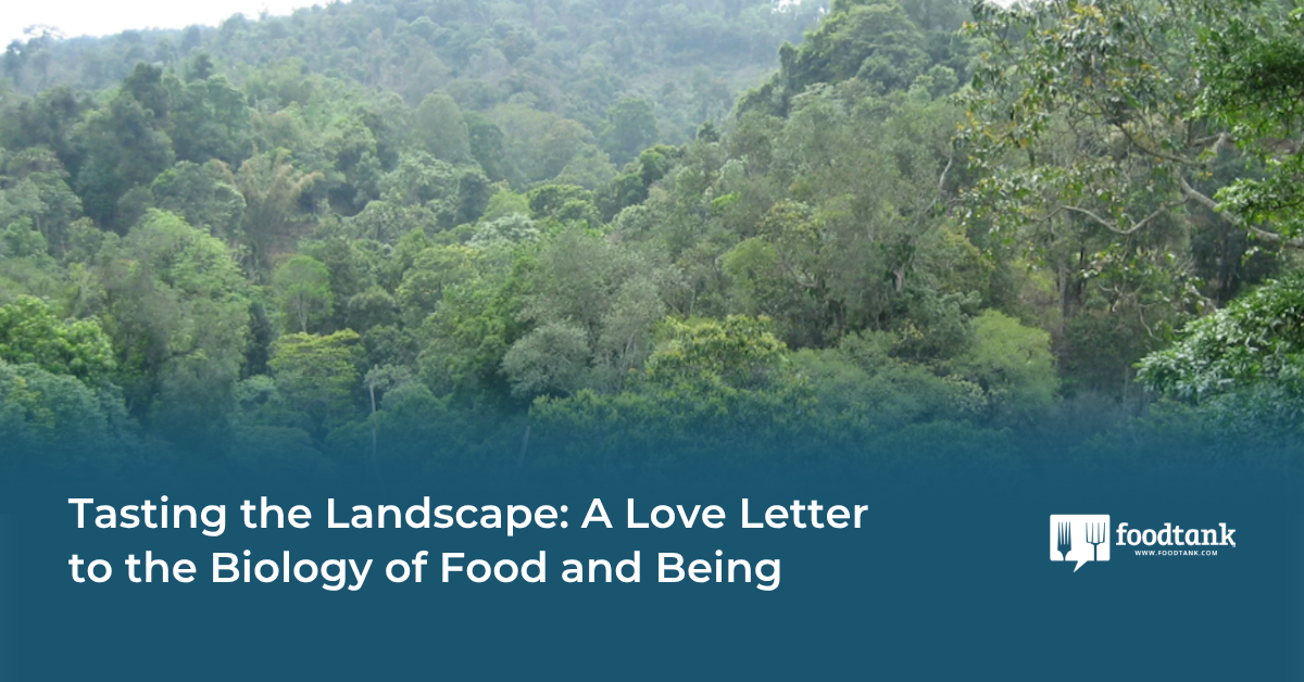 Op-Ed | Tasting the Landscape: A Love Letter to the Biology of Food and Being