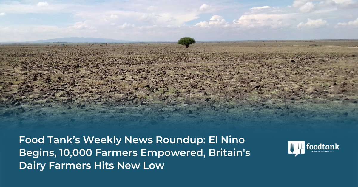 Food Tank’s Weekly News Roundup: El Nino Begins, 10,000 Farmers Empowered, Britain's Dairy Farmers Hits New Low – Food Tank