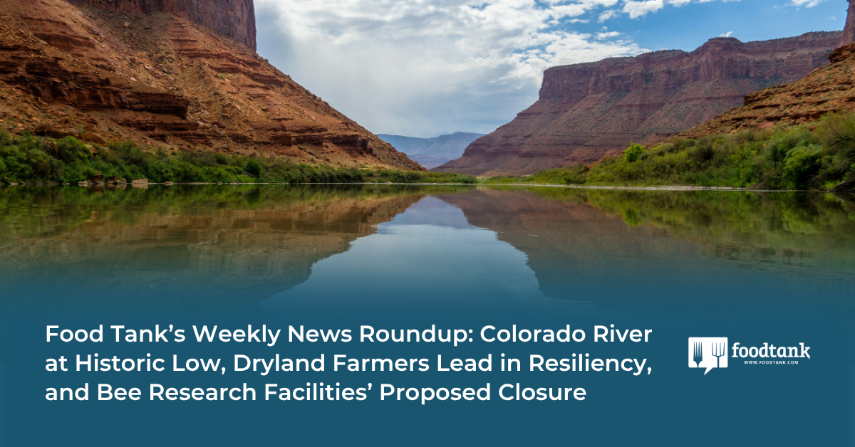 Food Tank’s Weekly News Roundup: Colorado River at Historic Low, Dryland Farmers Lead in Resiliency, and Bee Research Facilities’ Proposed Closure