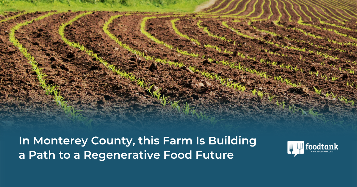 In Monterey County, this Farm Is Building a Path to a Regenerative Food Future – Food Tank