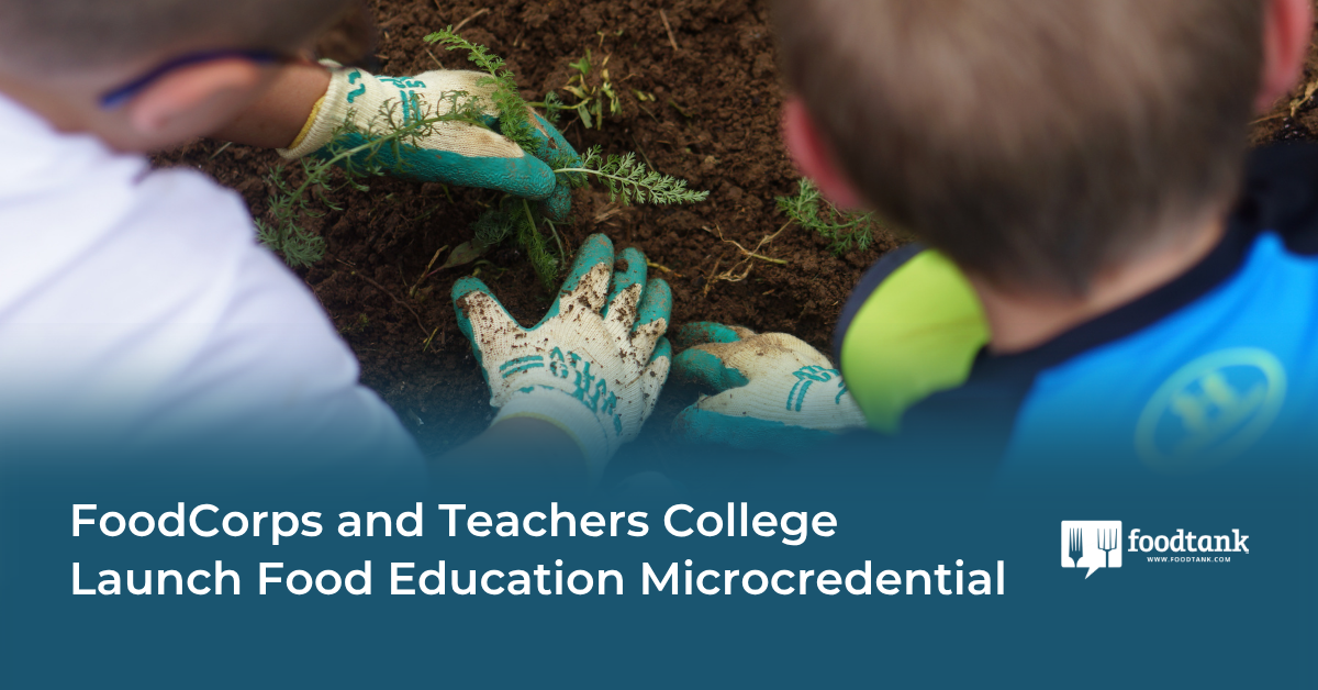 A New Approach to Food Education