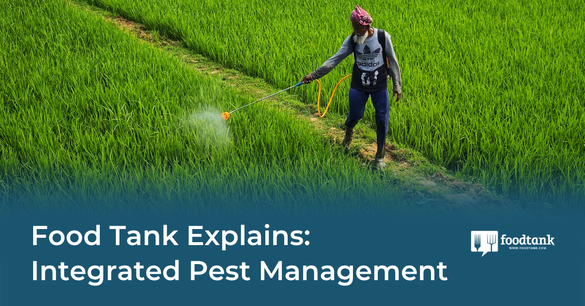 IPM Explained
