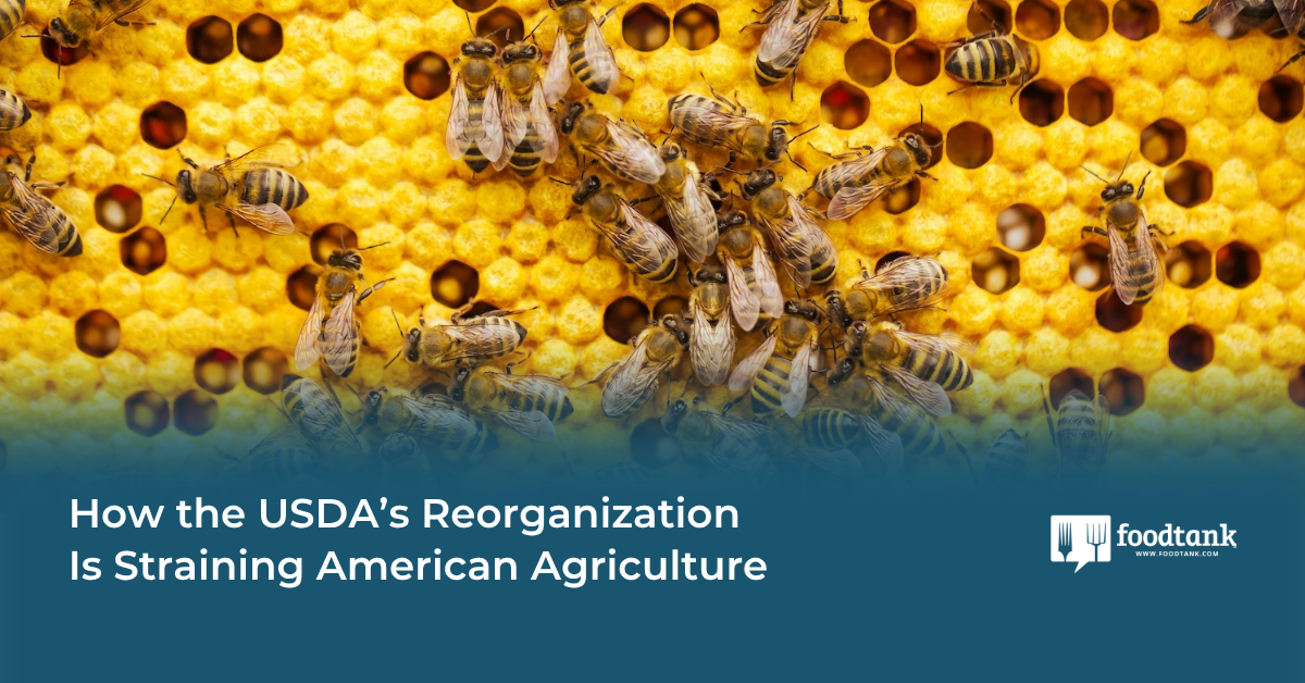 How the USDA’s Reorganization Is Straining American Agriculture – Food Tank