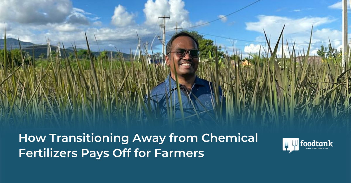 How Transitioning Away from Chemical Fertilizers Pays Off for Farmers