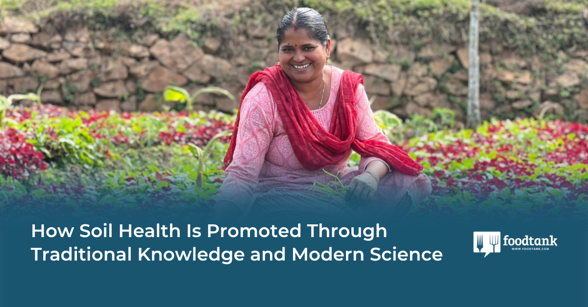 Op-Ed | How Soil Health Is Promoted Through Traditional Knowledge and Modern Science