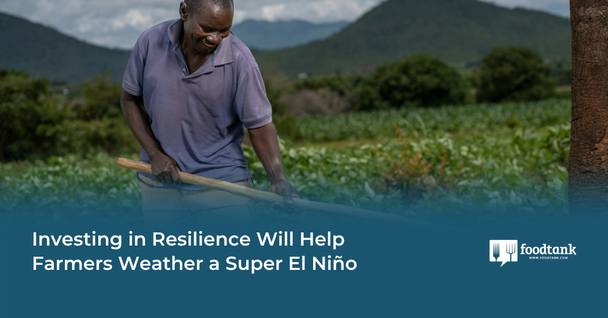 Investing in Resilience Will Help Farmers Weather the Super El Niño – Food Tank