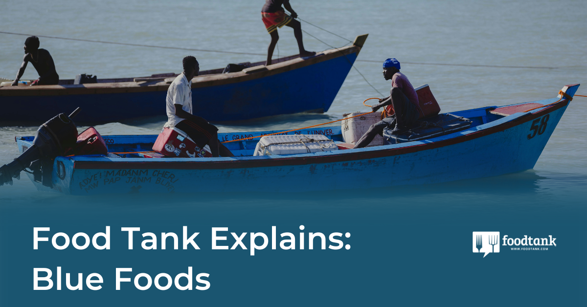 Food Tank's Deep Dive into Sustainable Blue Foods