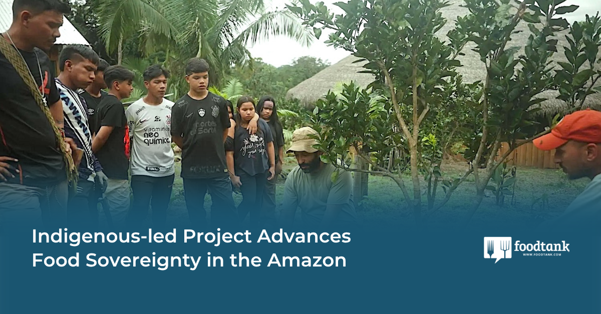 Advancing Indigenous Food Sovereignty in the Amazon