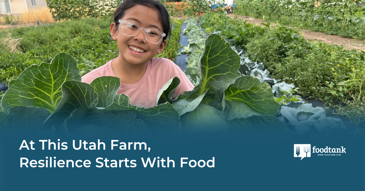 At This Utah Farm, Resilience Starts With Food – Food Tank