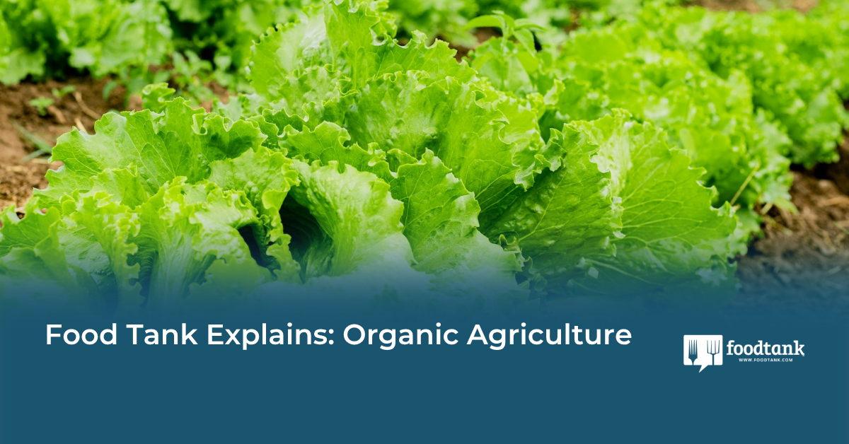 Explaining Organic Agriculture