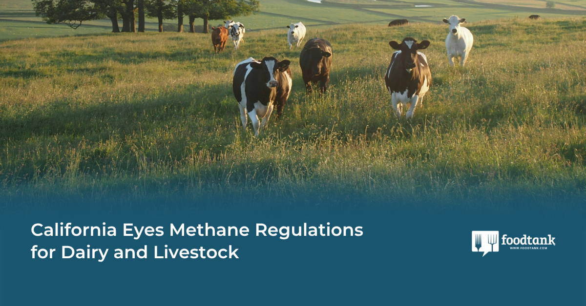 California Looks to Reduce Methane Emissions from Livestock