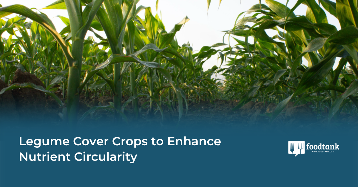 Legume Cover Crops to Enhance Nutrient Circularity