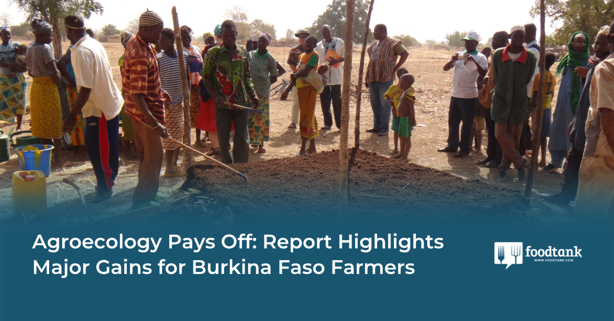 Agroecology Boosts Farming Outcomes in Burkina Faso