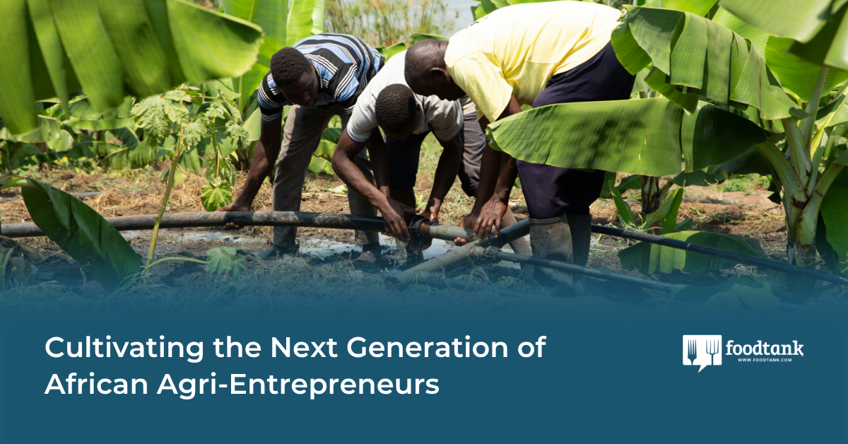 How Do We Empower Future Agri-Entrepreneurs?