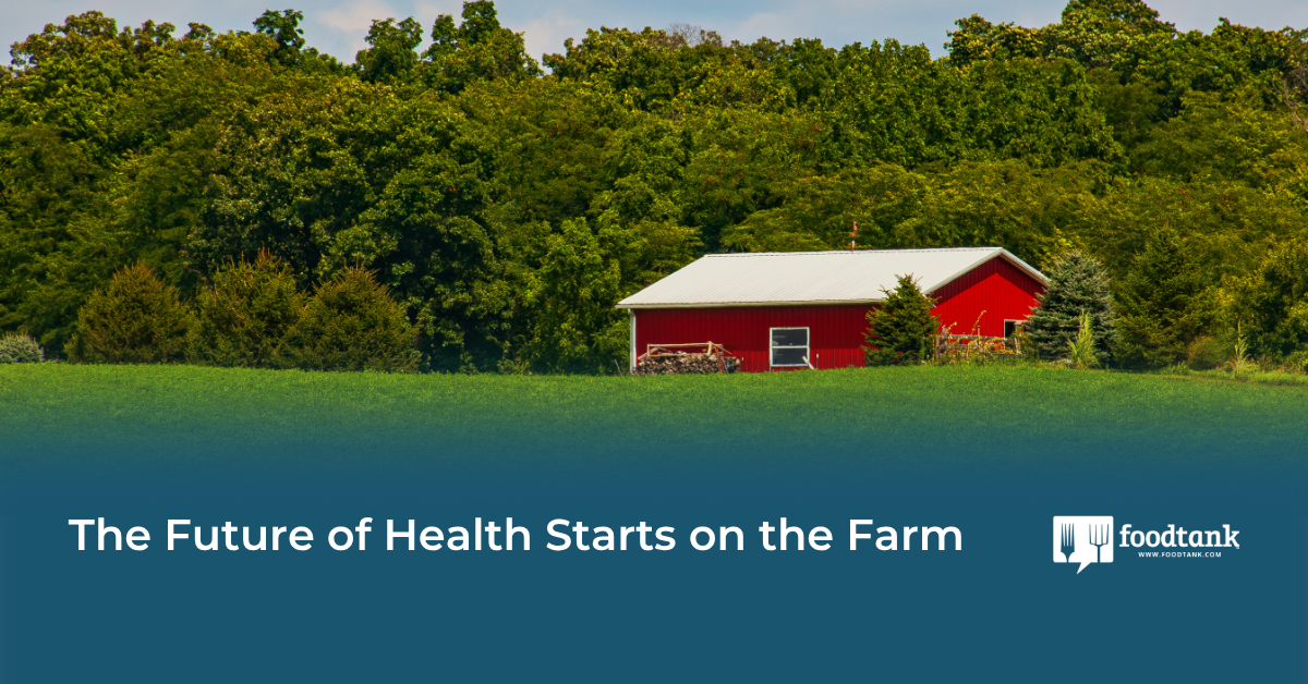 Where Food and Health Meet