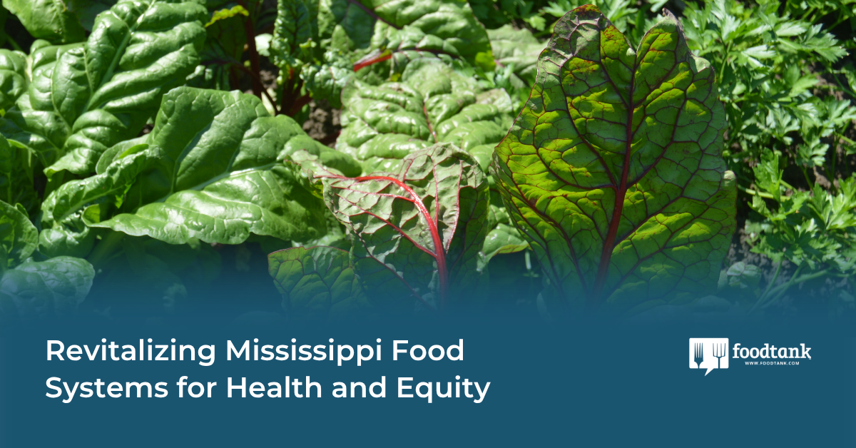 Revitalizing Mississippi's Food System from the Ground Up