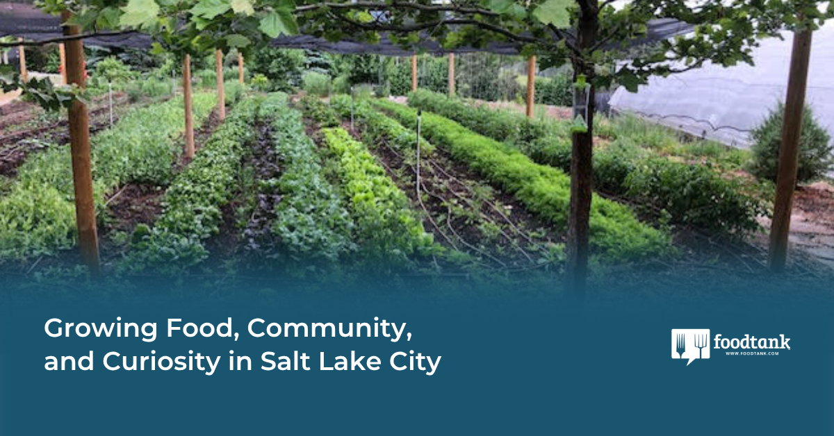 Growing Food—and Future Farmers—in Salt Lake City