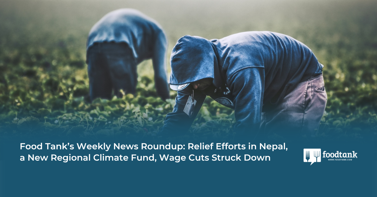 Nepal Relief Efforts. Climate Finance. Wage Cuts Undone.