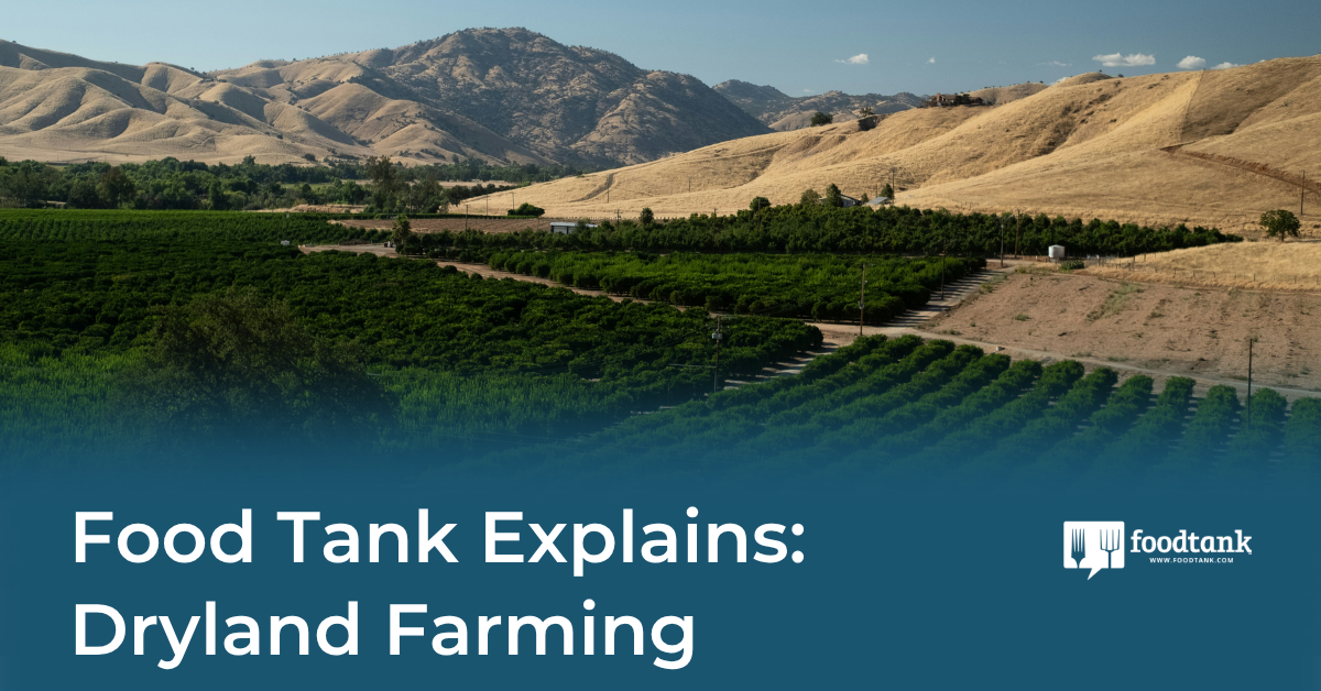 What is Dryland Farming?