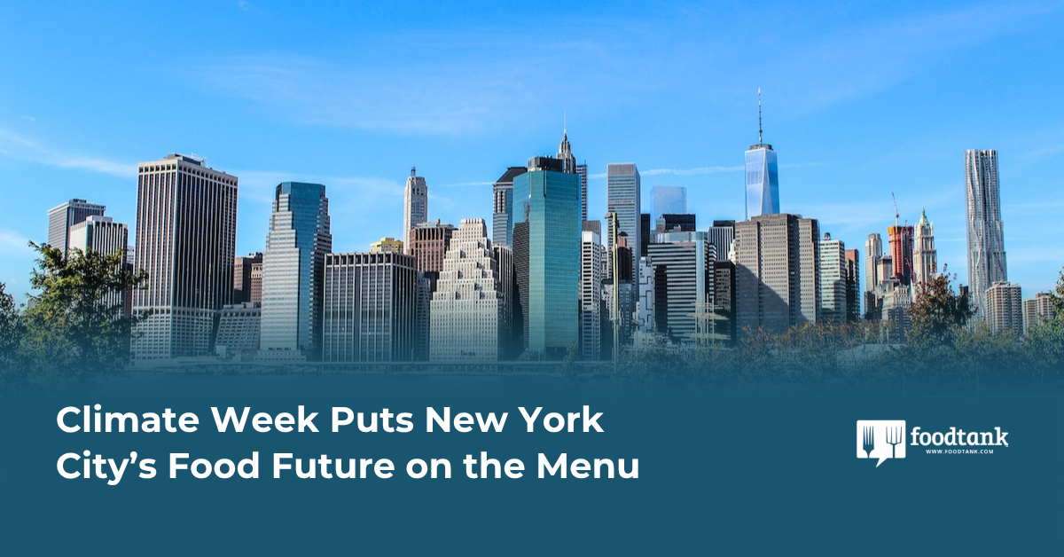What’s on the Menu for NYC’s Food Future?