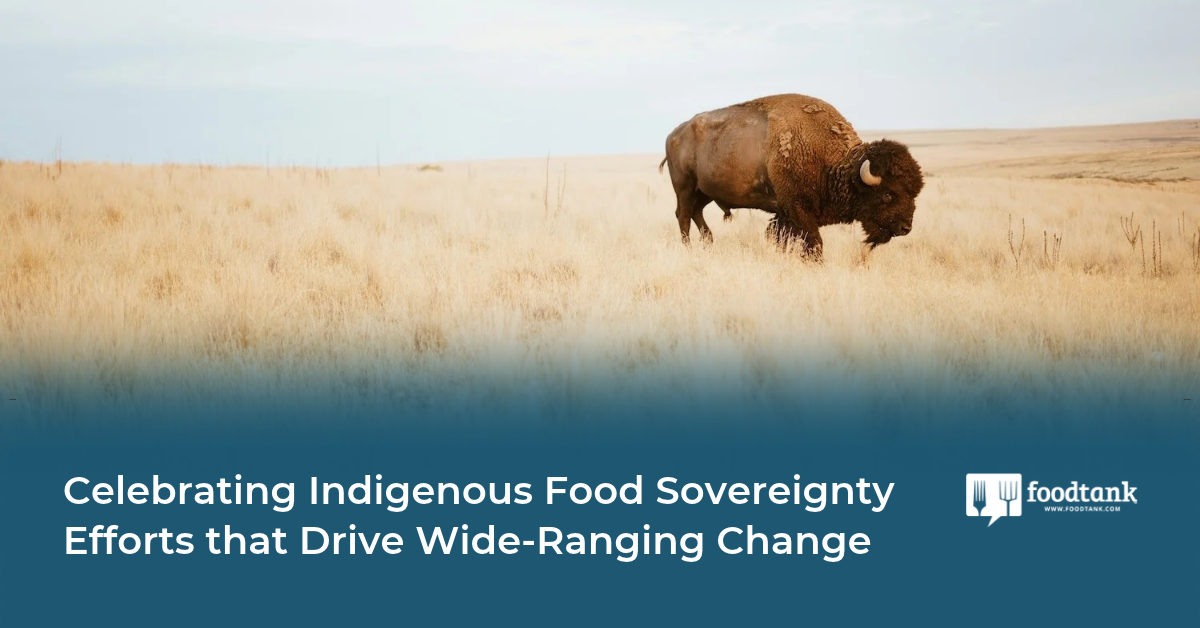 Empowering Indigenous Food Sovereignty for Transformative Impact